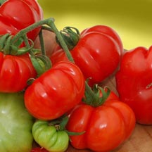 Costoluto di Parma Italian Red Beefsteak tomato ...